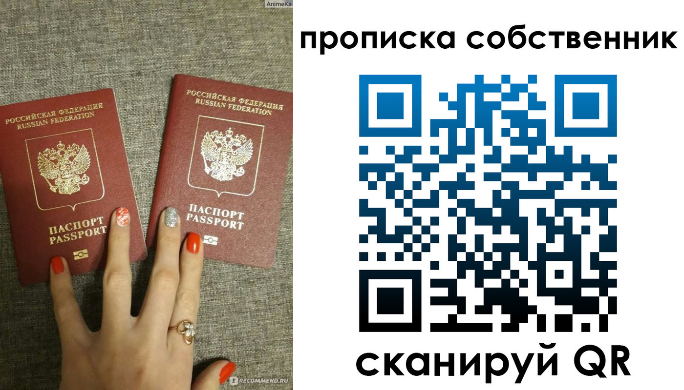 прописка поиск в Дмитрове