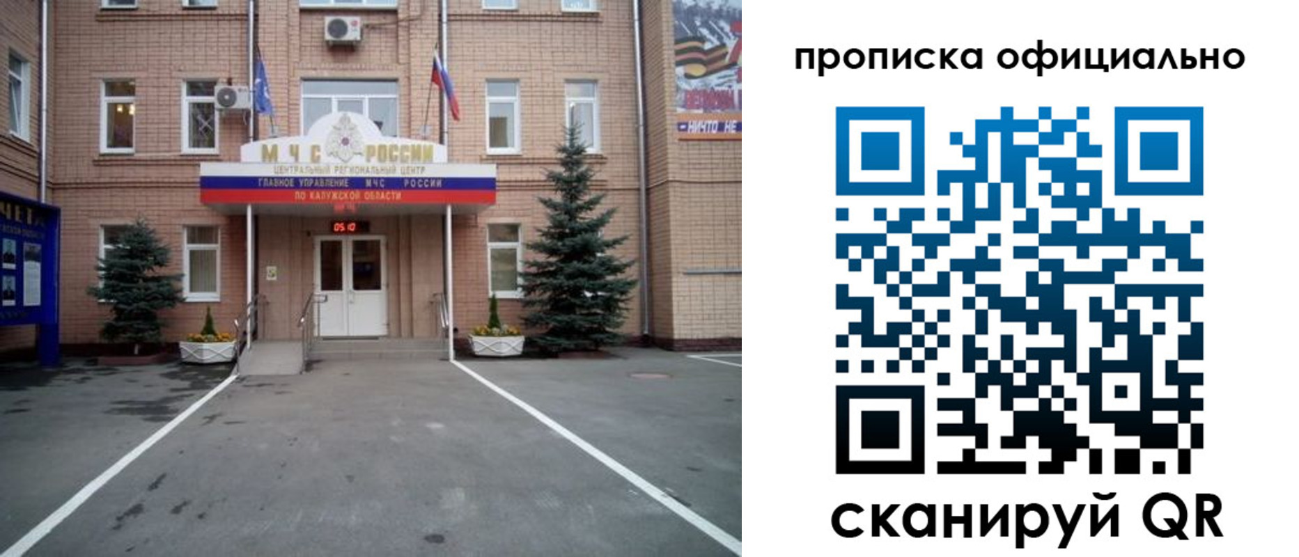 прописка для школы в Дмитрове