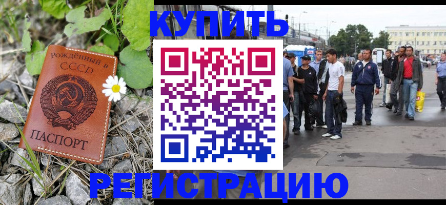 прописка гарантия в Дмитрове
